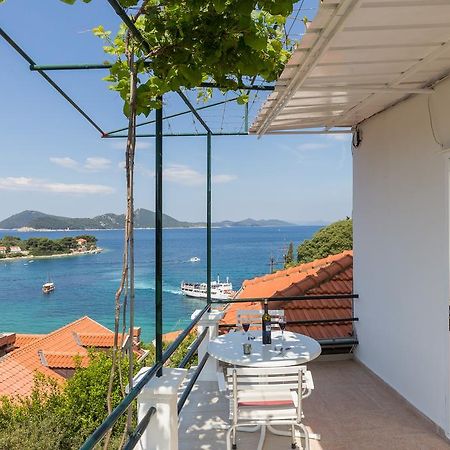 Apartments Miskovic Donje Celo エクステリア 写真