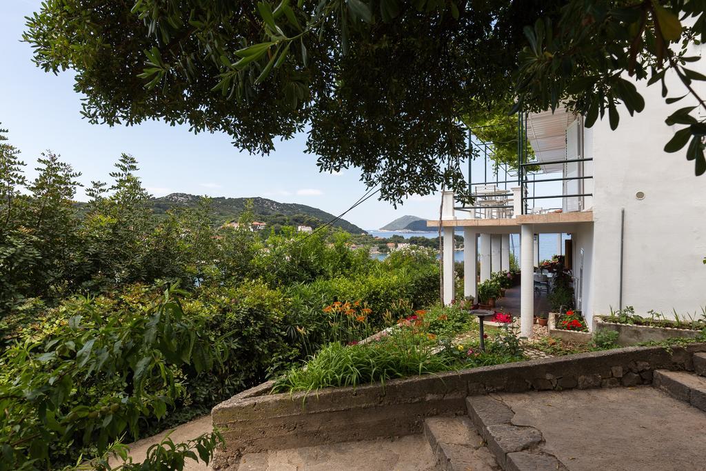 Apartments Miskovic Donje Celo エクステリア 写真