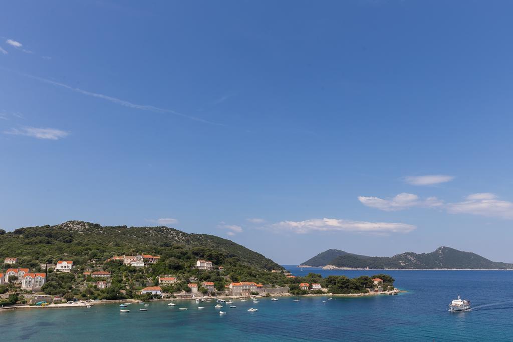 Apartments Miskovic Donje Celo エクステリア 写真