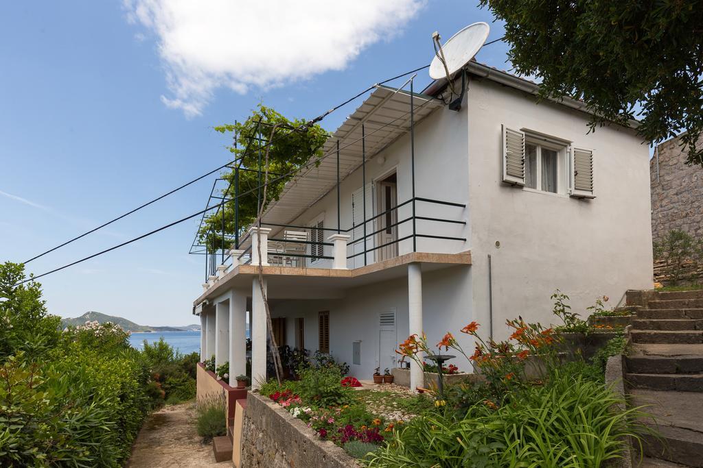 Apartments Miskovic Donje Celo エクステリア 写真