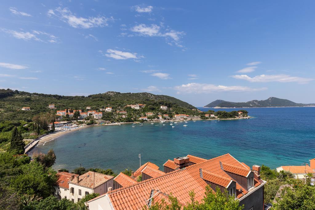 Apartments Miskovic Donje Celo エクステリア 写真