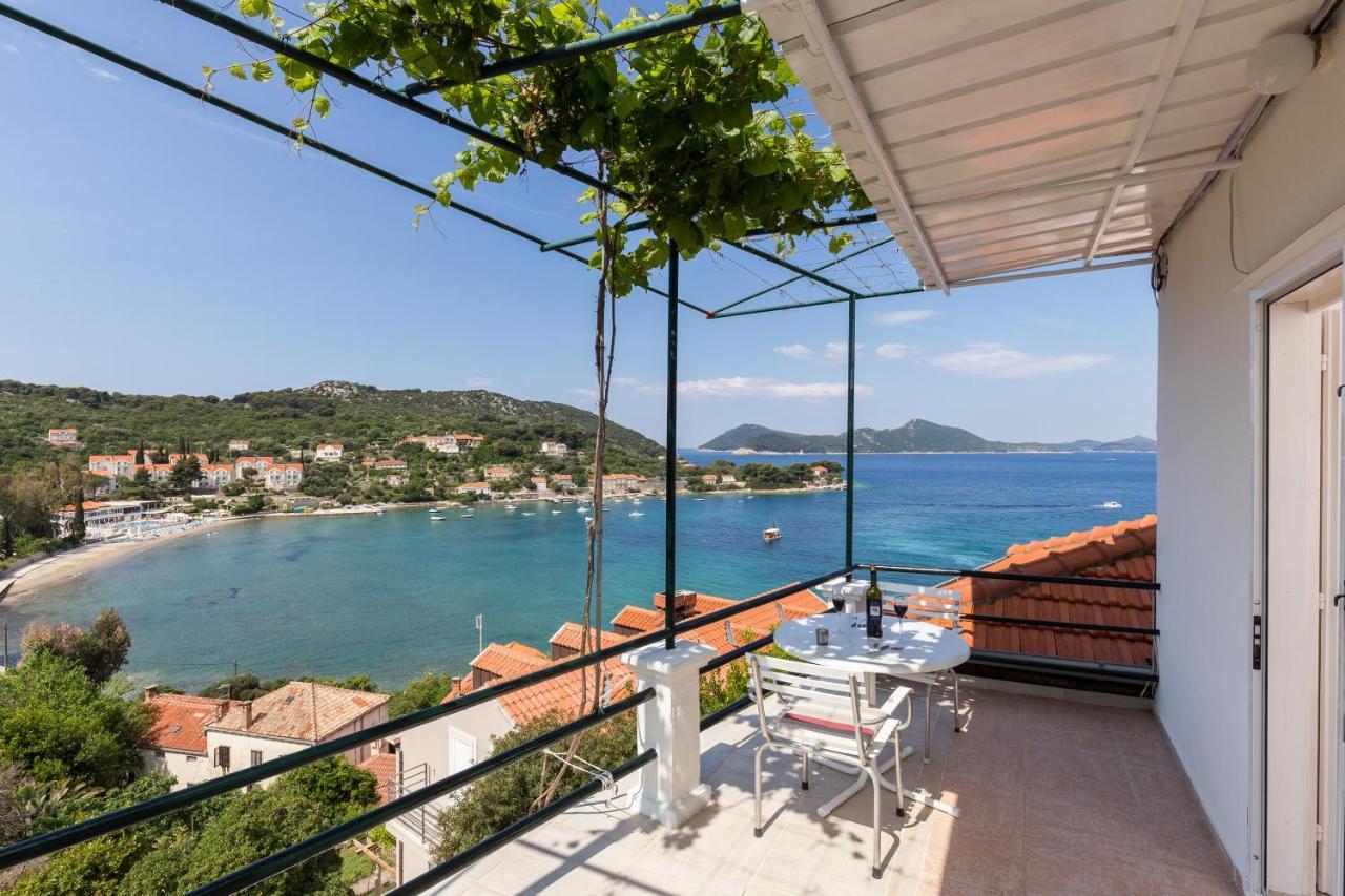Apartments Miskovic Donje Celo 部屋 写真